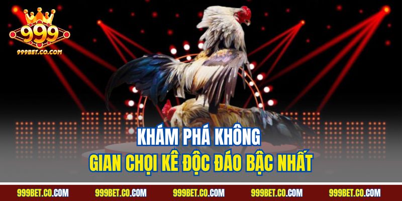 Khám phá không gian chọi kê độc đáo bậc nhất